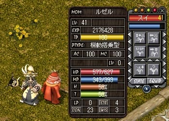ついにセミ!