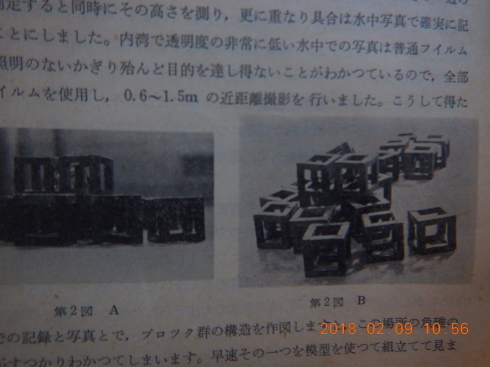 b0075059_20135363.jpg