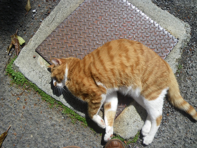 c0033636_0135779.jpg