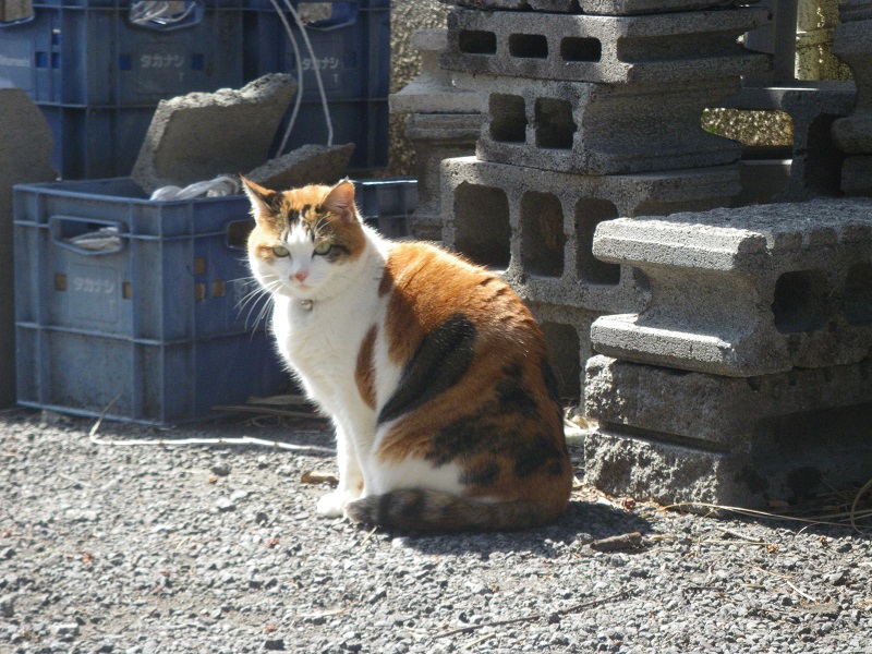 c0033636_015715.jpg