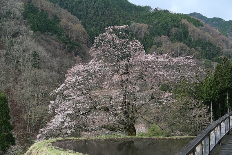 f0076731_21001943.jpg