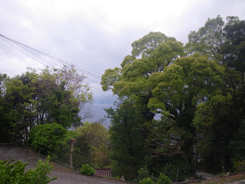 c0033636_23502944.jpg