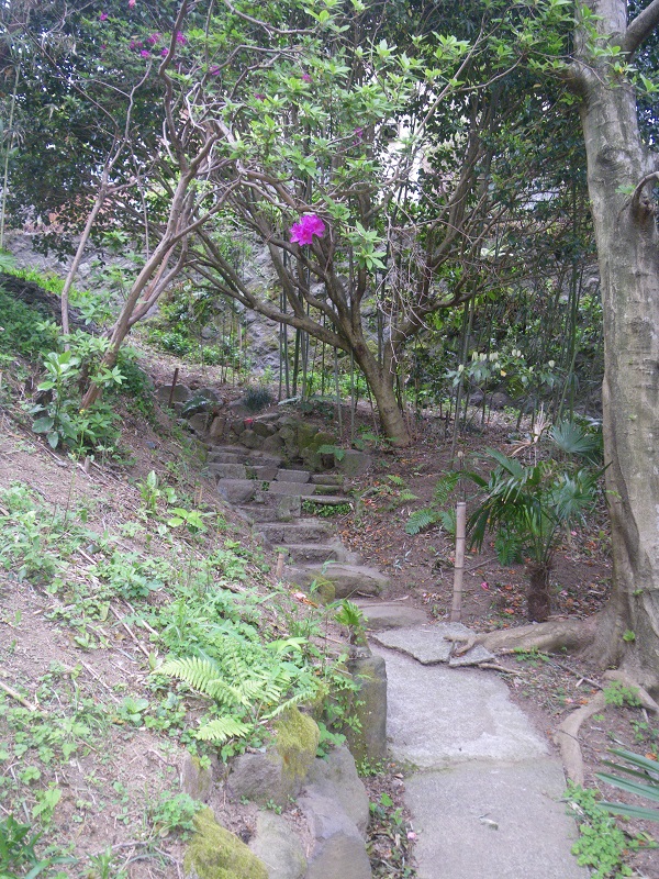c0033636_2350528.jpg