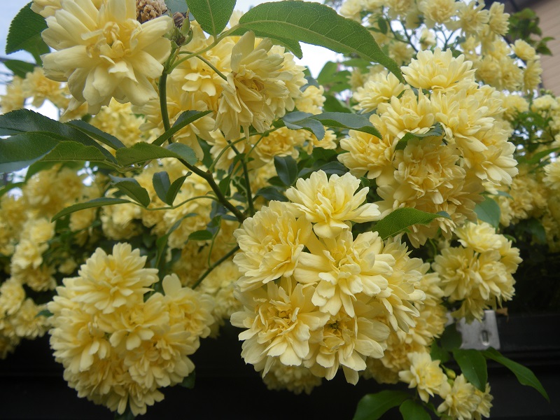 c0033636_0571672.jpg