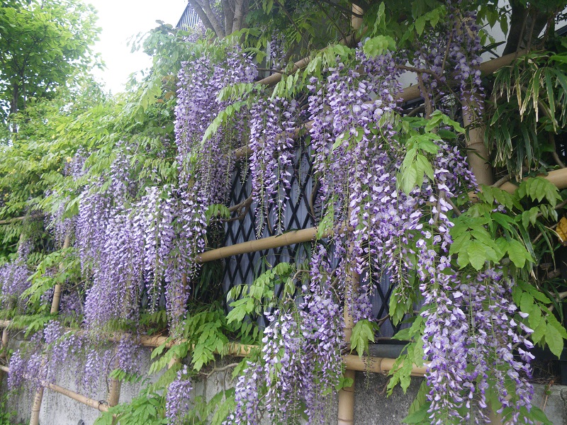c0033636_058631.jpg