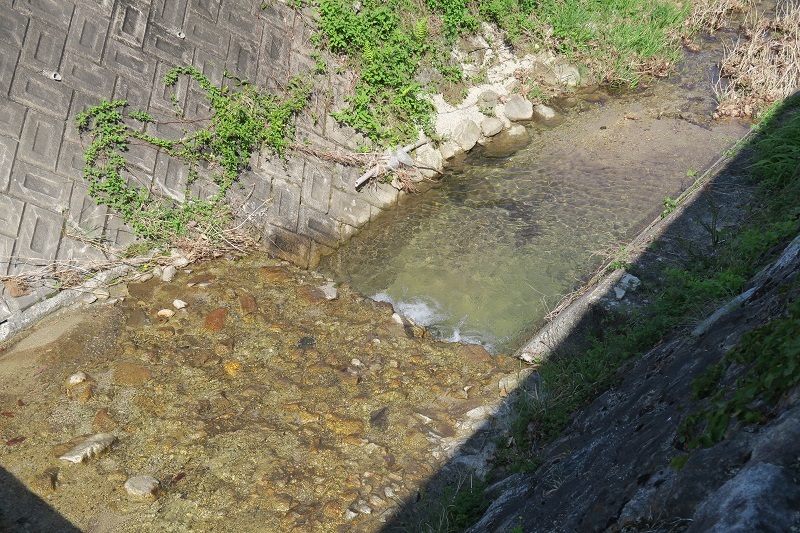 f0076731_16354099.jpg