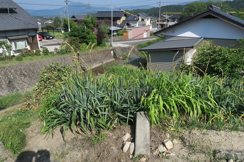 f0076731_07181667.jpg