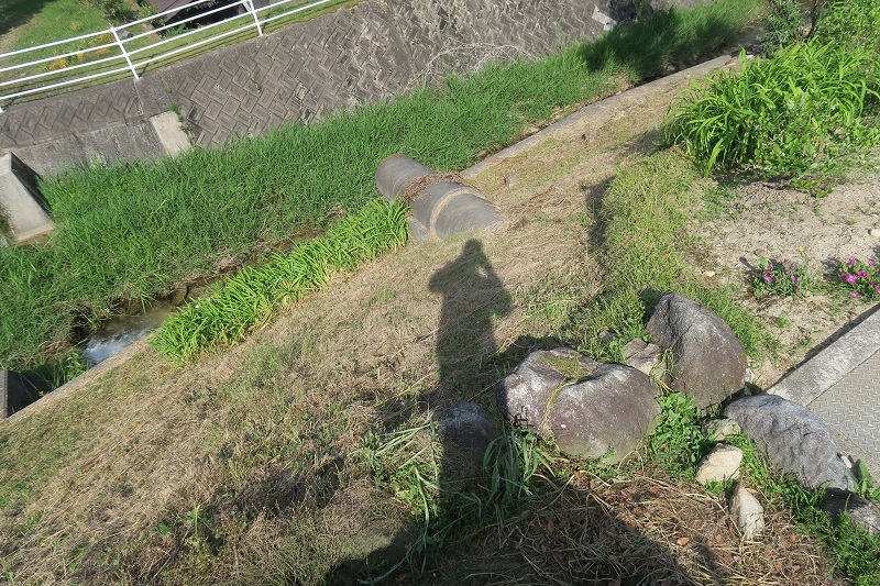 f0076731_07202959.jpg