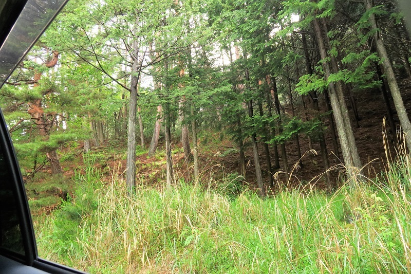 f0076731_20593015.jpg