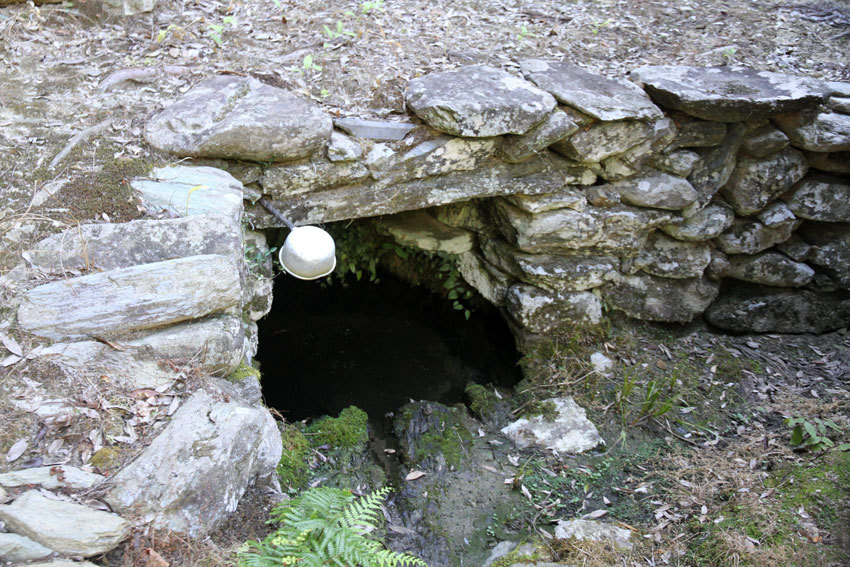 d0058941_11222402.jpg