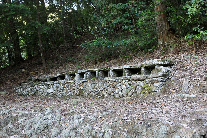 d0058941_11362325.jpg