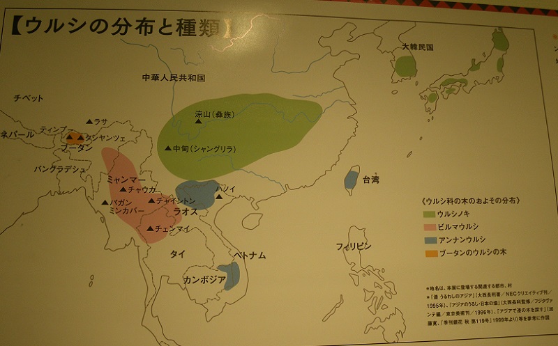 c0033636_2323859.jpg