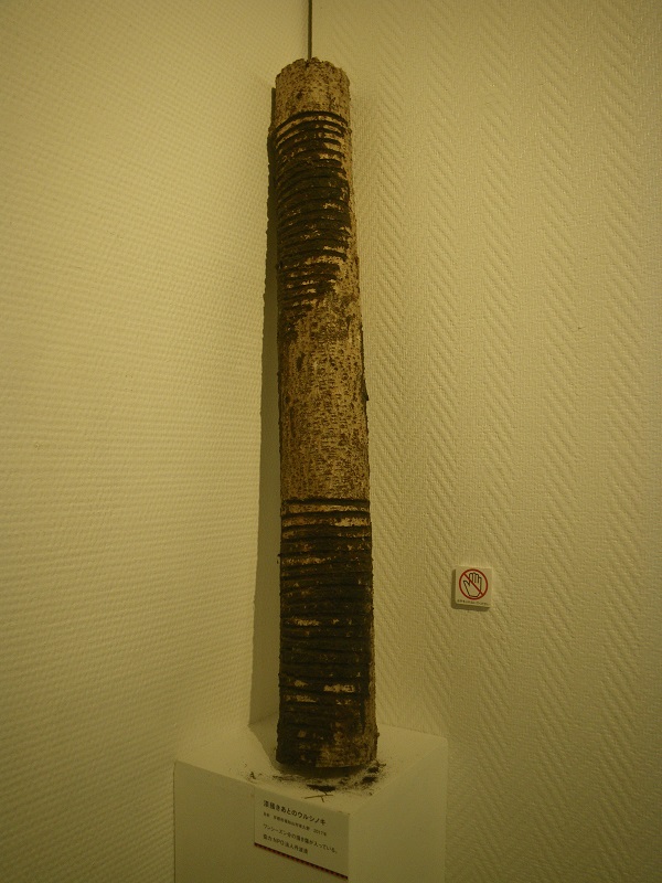 c0033636_23304833.jpg