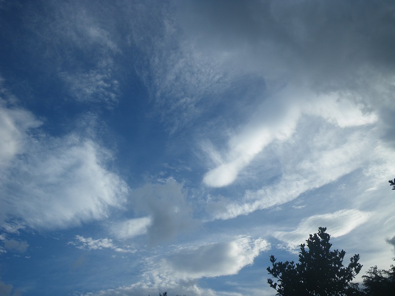 c0033636_21374737.jpg