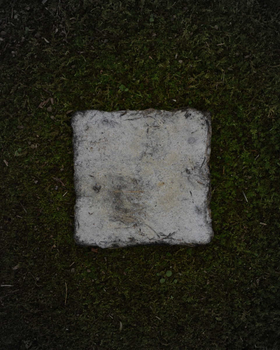 d0087761_0352952.jpg