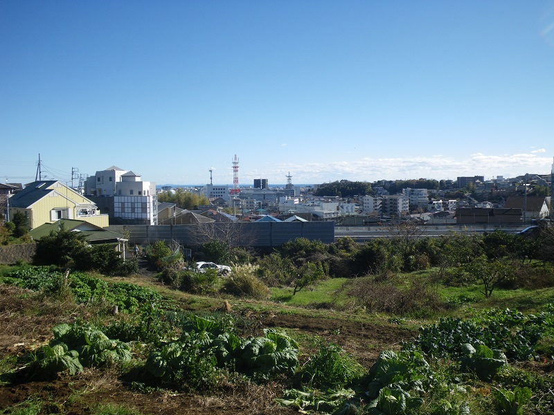 c0033636_0582578.jpg