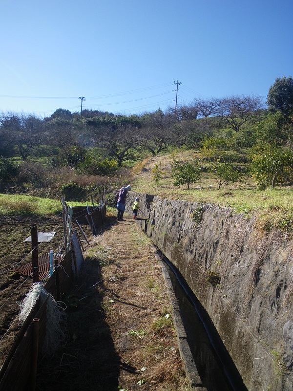 c0033636_105334.jpg