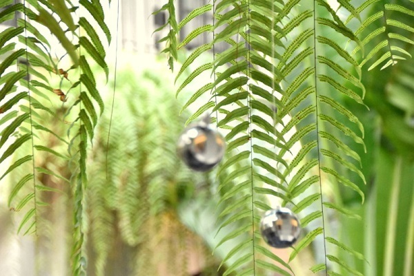 c0067529_11431361.jpg
