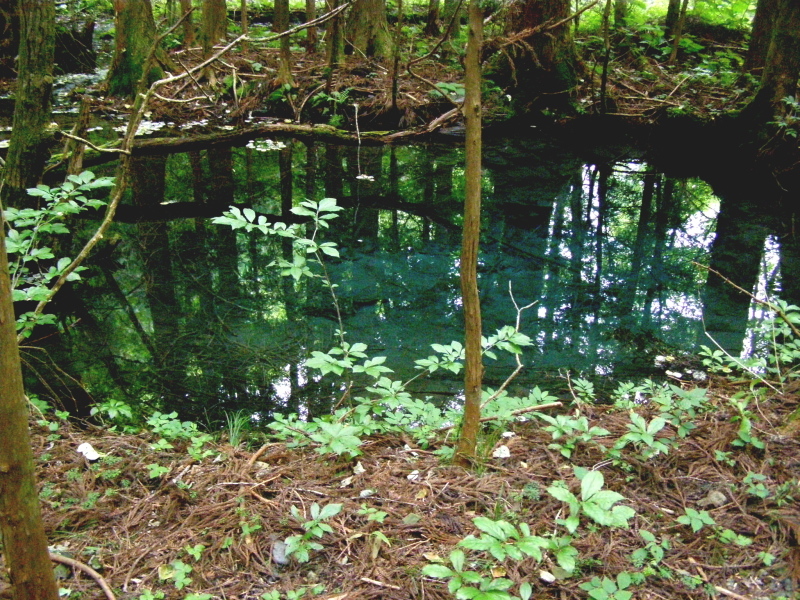 f0075075_22061432.jpg