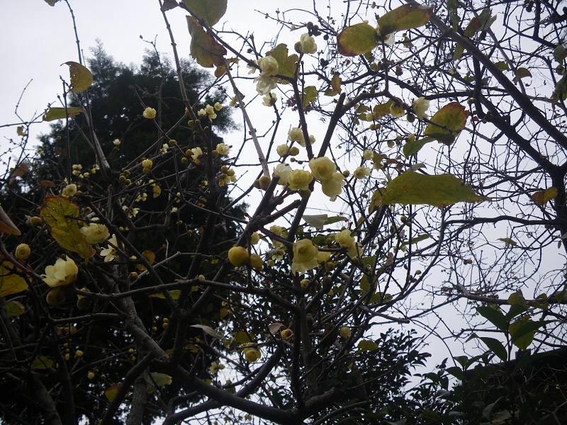 c0033636_23173640.jpg
