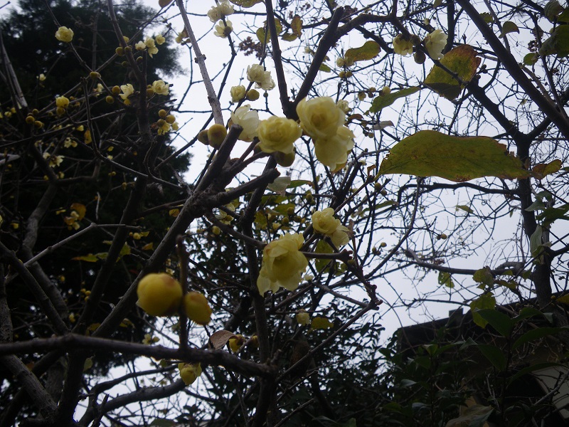 c0033636_2318221.jpg