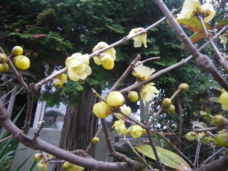 c0033636_23203172.jpg