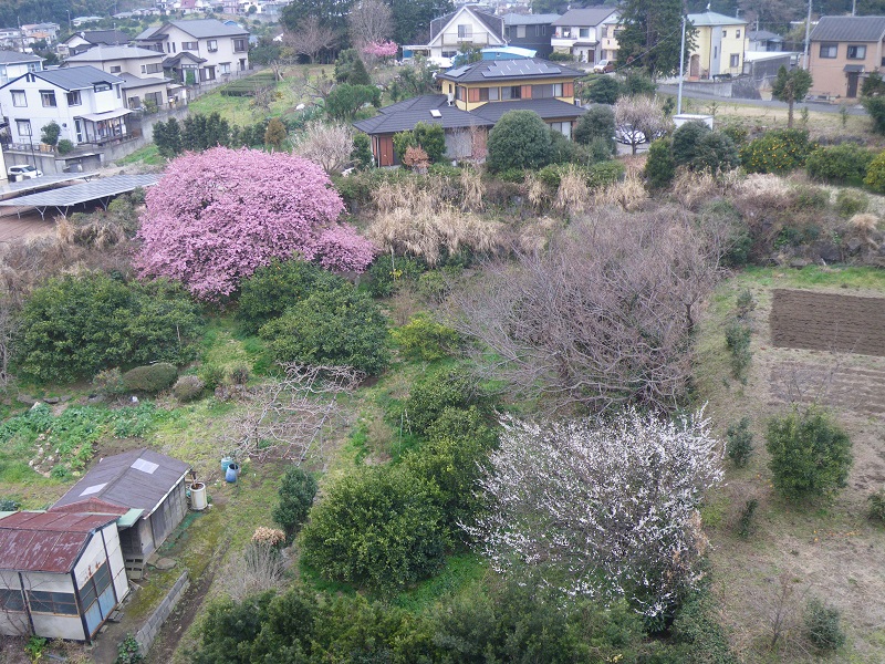 c0033636_1322583.jpg