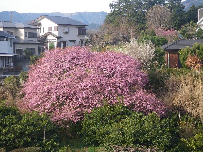 c0033636_1324965.jpg