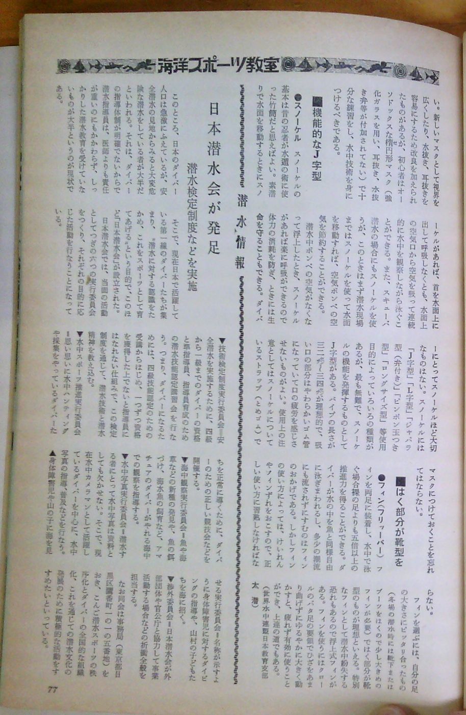 b0075059_14335667.jpg