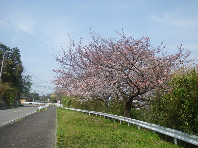 c0033636_23532211.jpg