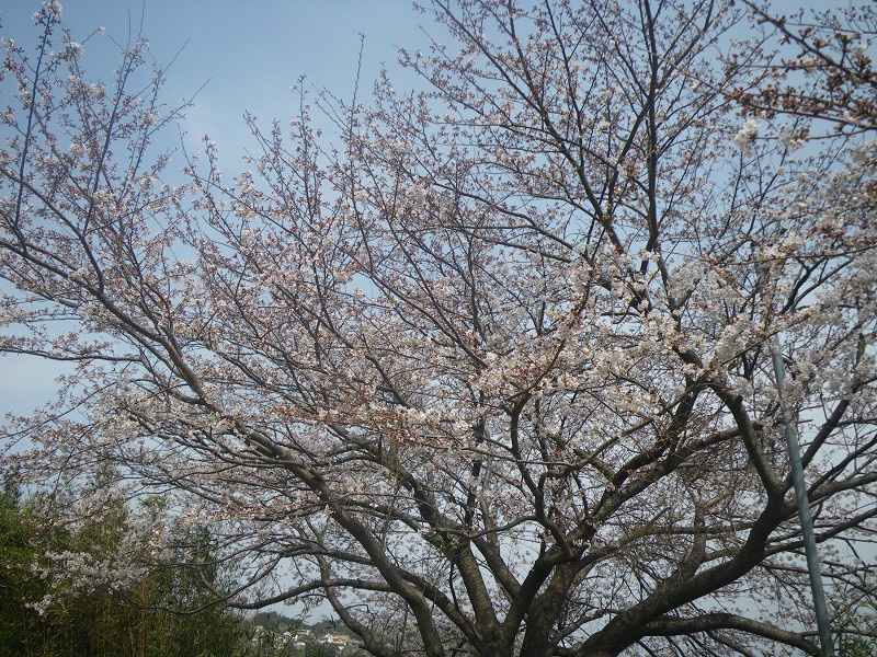 c0033636_23533750.jpg