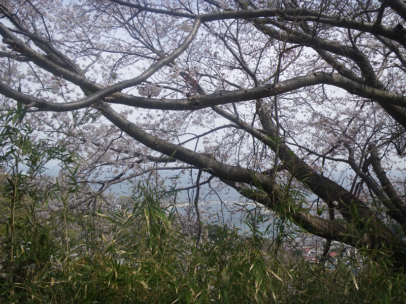 c0033636_23544066.jpg
