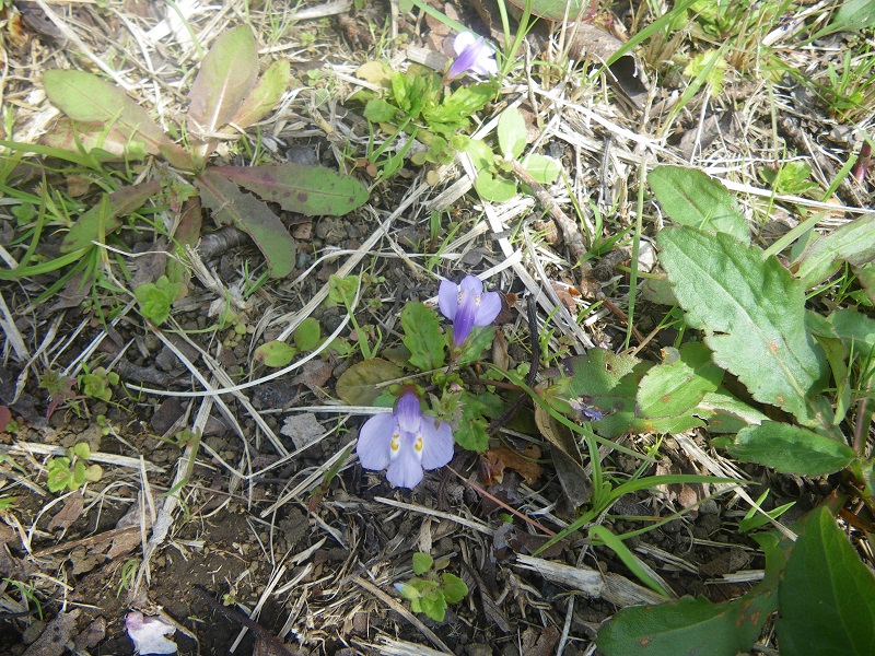 c0033636_23555183.jpg
