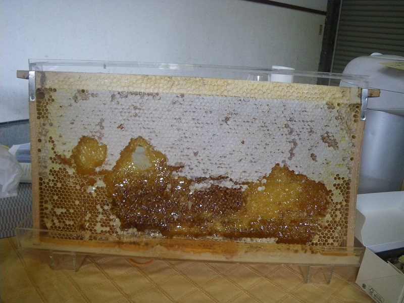 c0033636_23135315.jpg