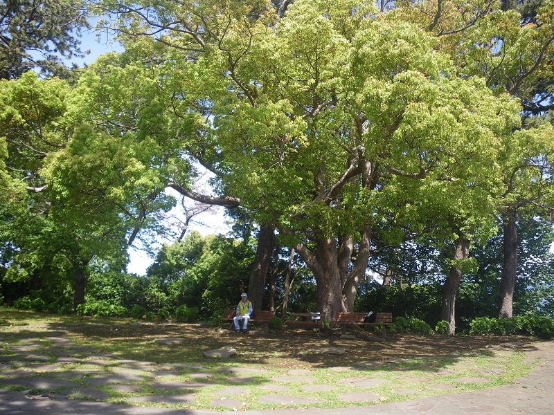 c0033636_1552853.jpg