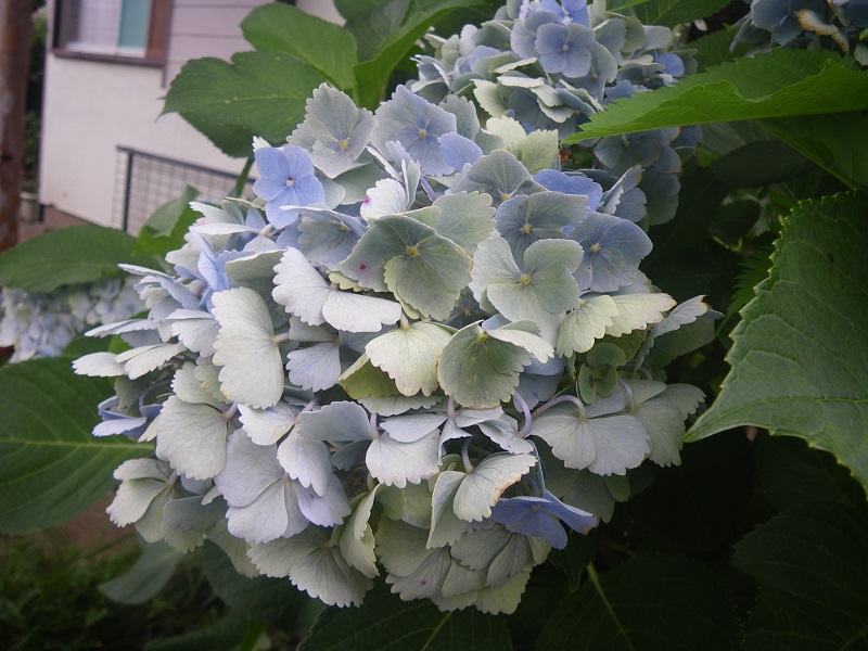 c0033636_23511142.jpg