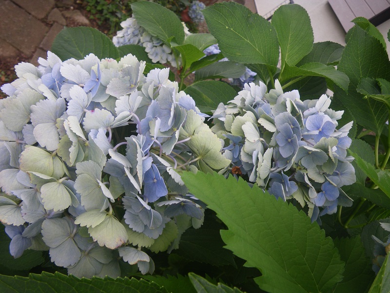 c0033636_23512594.jpg