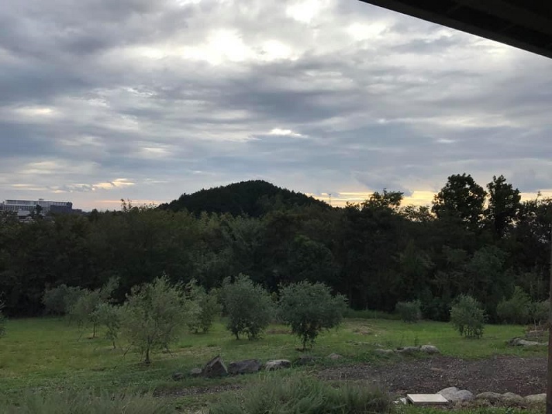 c0033636_220860.jpg