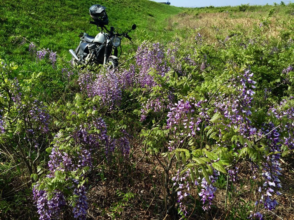 e0173145_05390123.jpg
