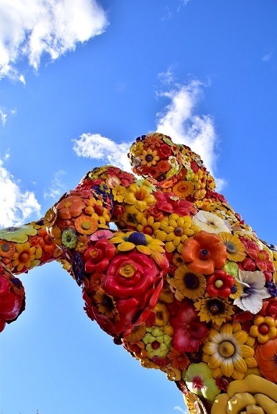 c0067529_16575403.jpg