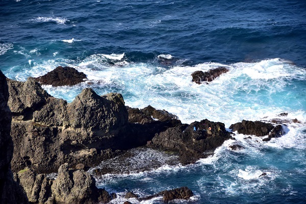 c0067529_13090949.jpg