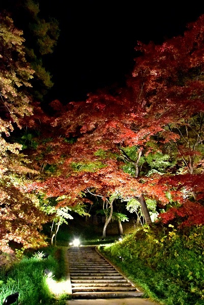 c0067529_17393996.jpg