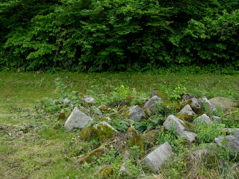 f0075075_17243507.jpg