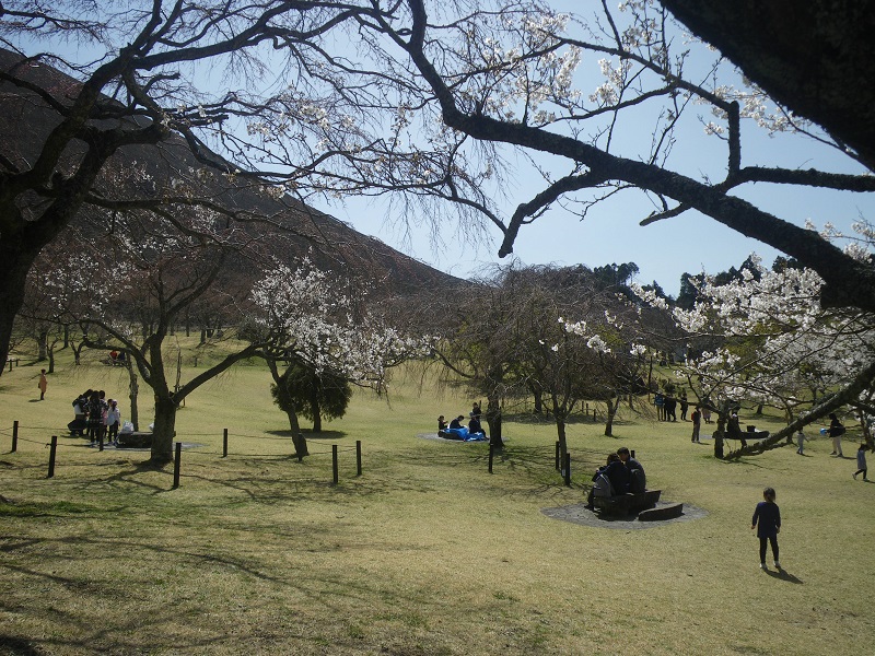 _c0033636_1424614.jpg