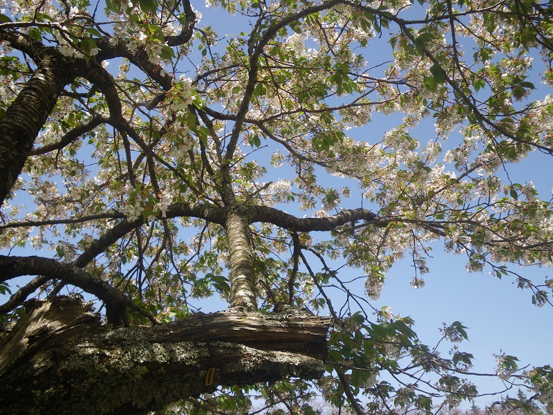_c0033636_14252895.jpg