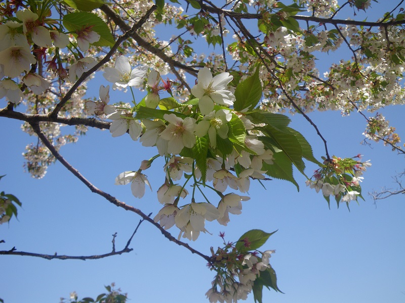 _c0033636_14253951.jpg