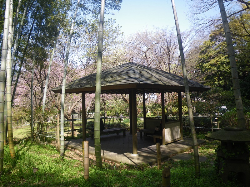 _c0033636_1810259.jpg