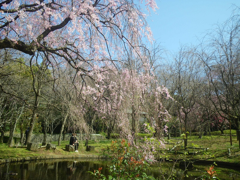 _c0033636_1810856.jpg