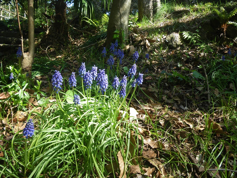 _c0033636_18124445.jpg