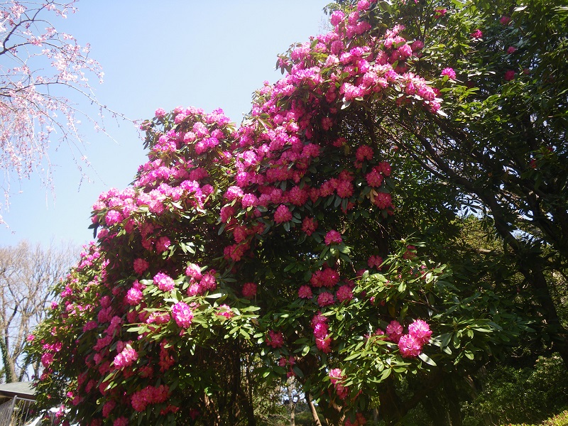 _c0033636_18131557.jpg